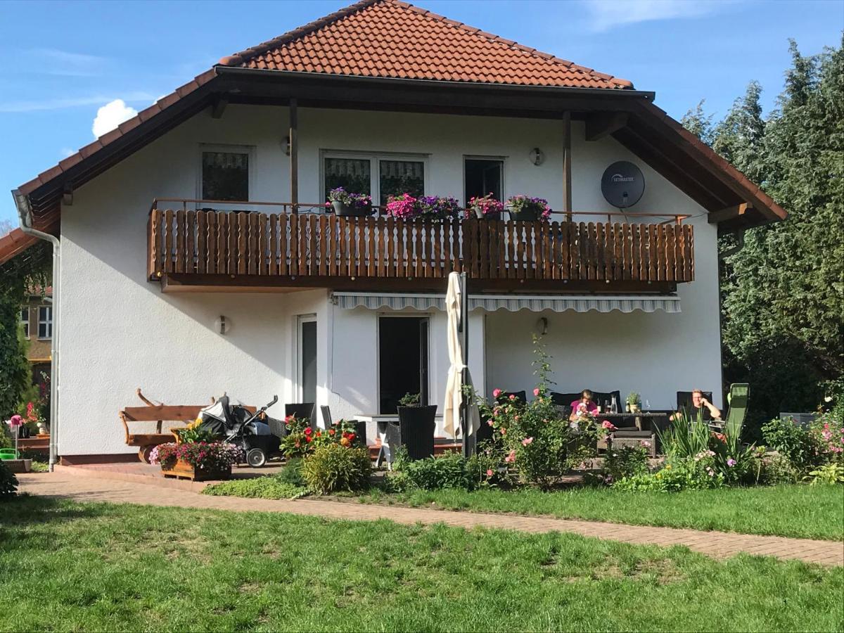 Grosszuegige Ferienwohnung Am Waldesrand Im Seenland Lauta Exterior photo