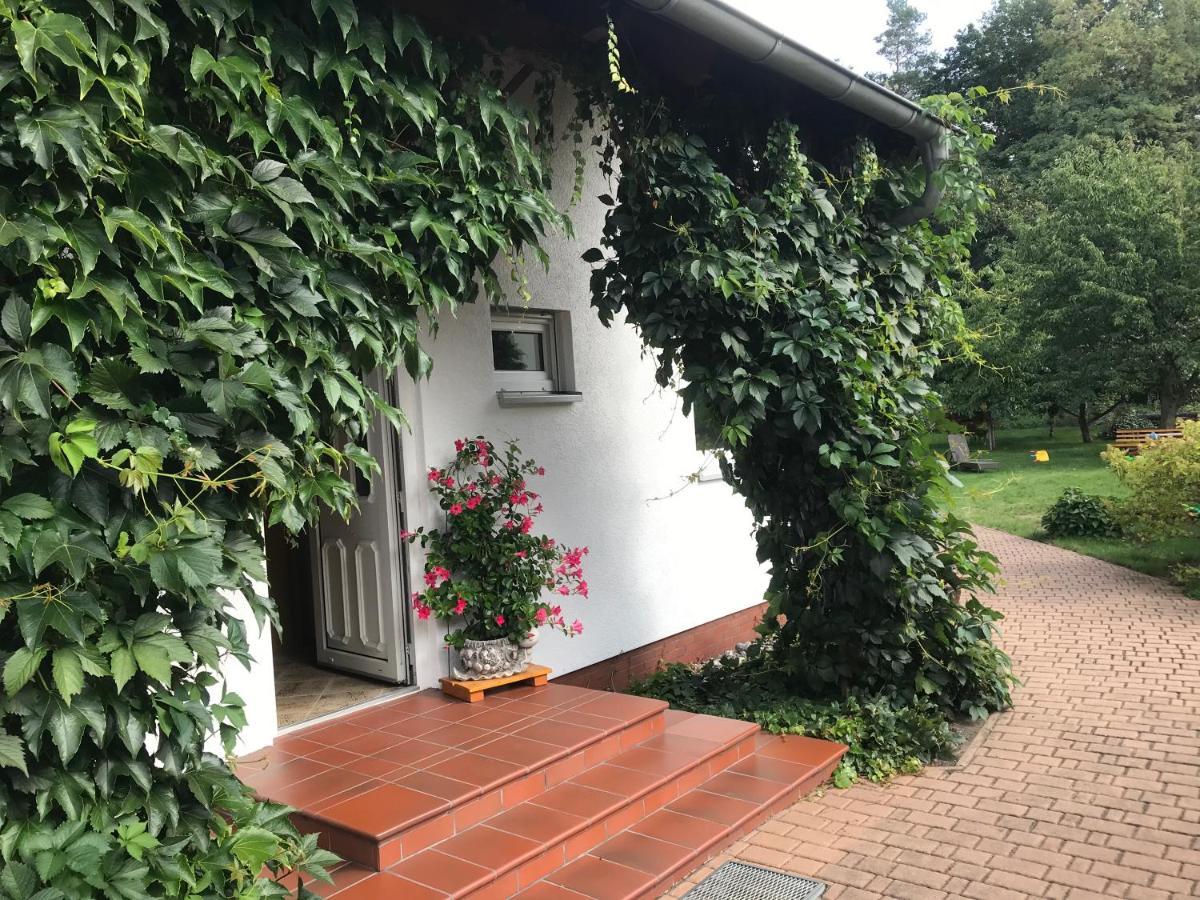 Grosszuegige Ferienwohnung Am Waldesrand Im Seenland Lauta Exterior photo