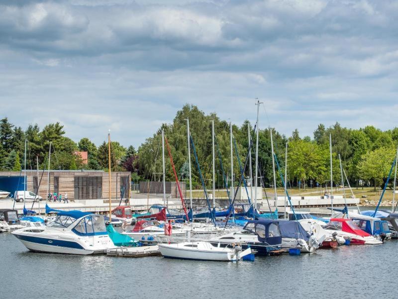 Grosszuegige Ferienwohnung Am Waldesrand Im Seenland Lauta Exterior photo