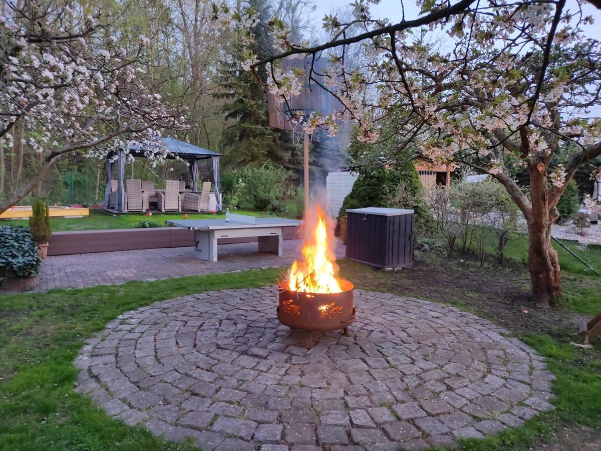 Grosszuegige Ferienwohnung Am Waldesrand Im Seenland Lauta Exterior photo